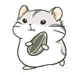 Hamster