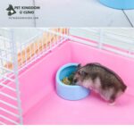 Bát Ăn Nhựa Vòm Cho Hamster