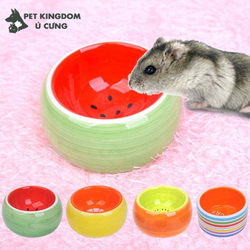 Bát Ăn Hình Hoa Quả Cho Hamster