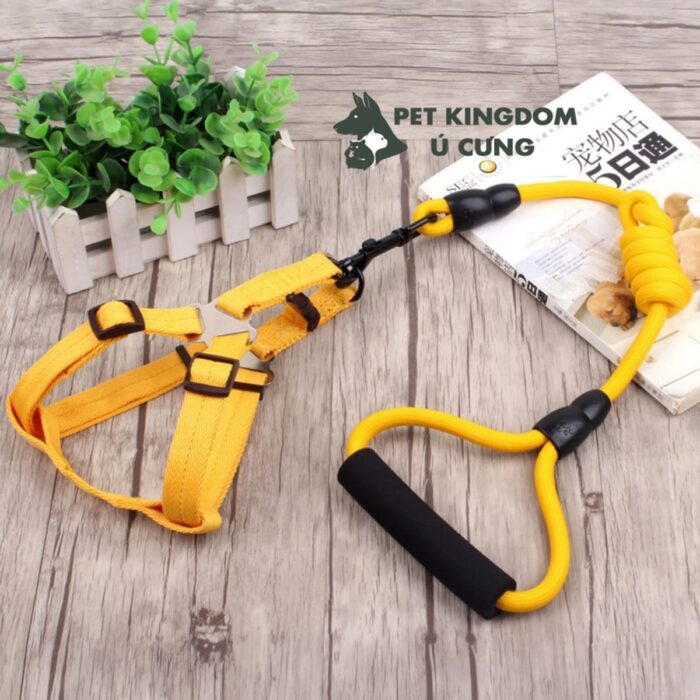 Dây Dắt Chó Mèo Kèm Yếm Ngực Hoặc Vòng Cổ Dày Dặn, Chắc Chắn