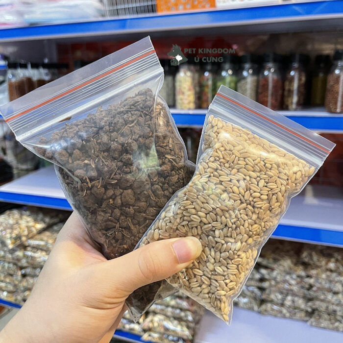 Hạt Giống Cỏ Mèo Hỗ Trợ Giảm Búi Lông